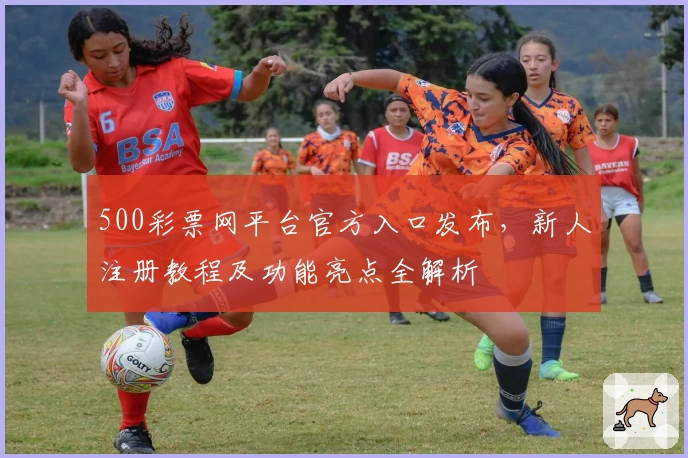 500彩票网平台官方入口发布,新人注册教程及功能亮点全解析