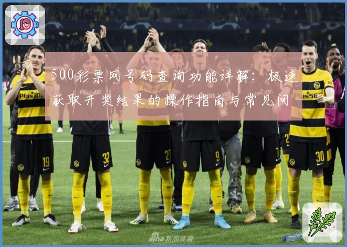 500彩票网号码查询功能详解：极速获取开奖结果的操作指南与常见问题解析