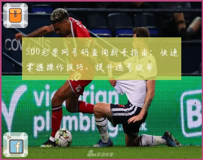 500彩票网号码查询新手指南：快速掌握操作技巧，提升选号效率