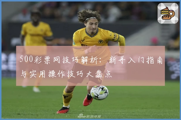 500彩票网技巧解析：新手入门指南与实用操作技巧大盘点