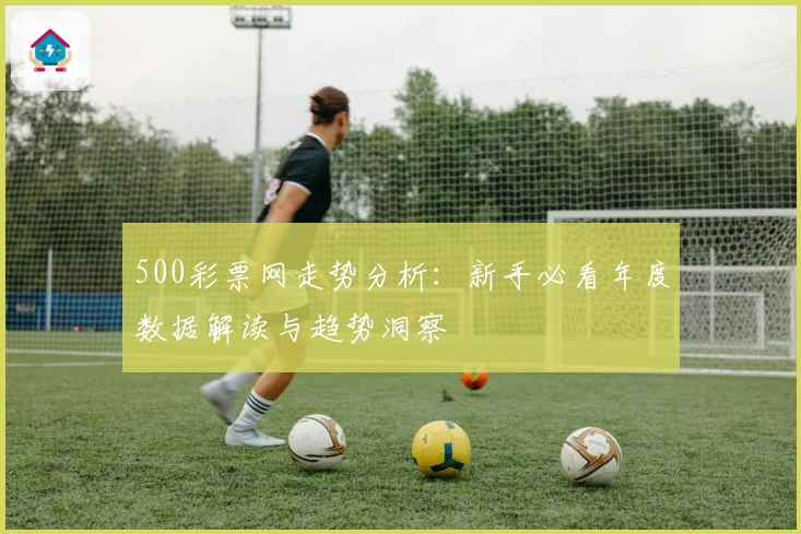 500彩票网走势分析：新手必看年度数据解读与趋势洞察