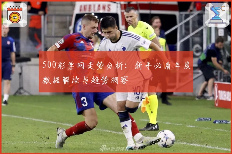 500彩票网走势分析：新手必看年度数据解读与趋势洞察