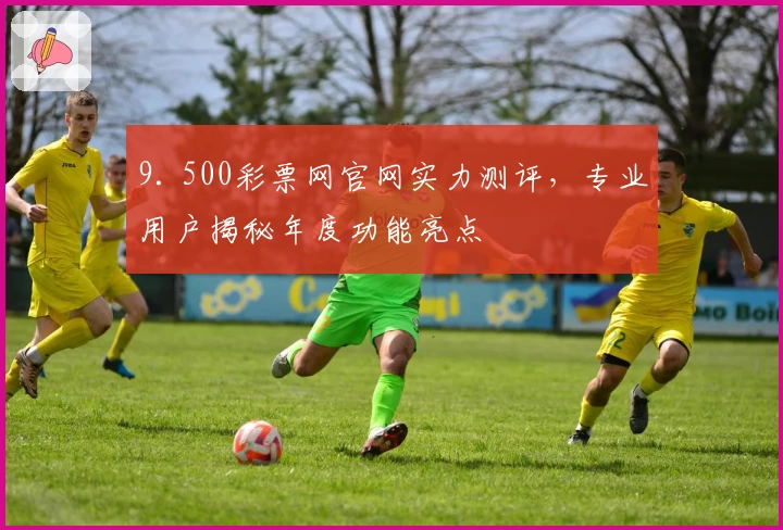 9. 500彩票网官网实力测评,专业用户揭秘年度功能亮点